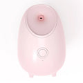slf nano mist portable mini facial steamer