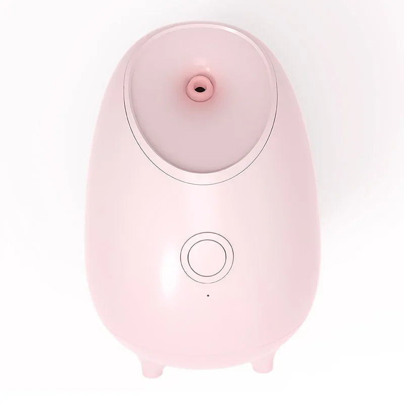 slf nano mist portable mini facial steamer