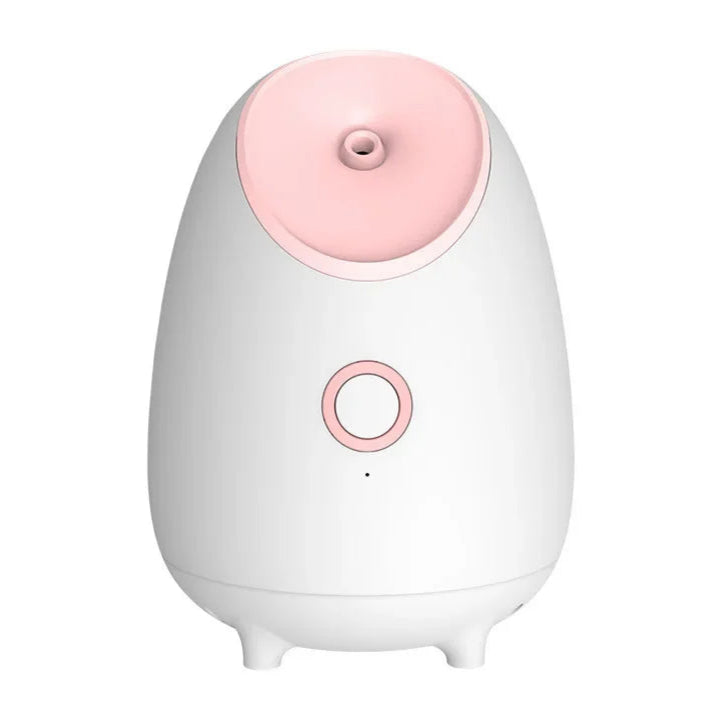 nano mist facial steamer